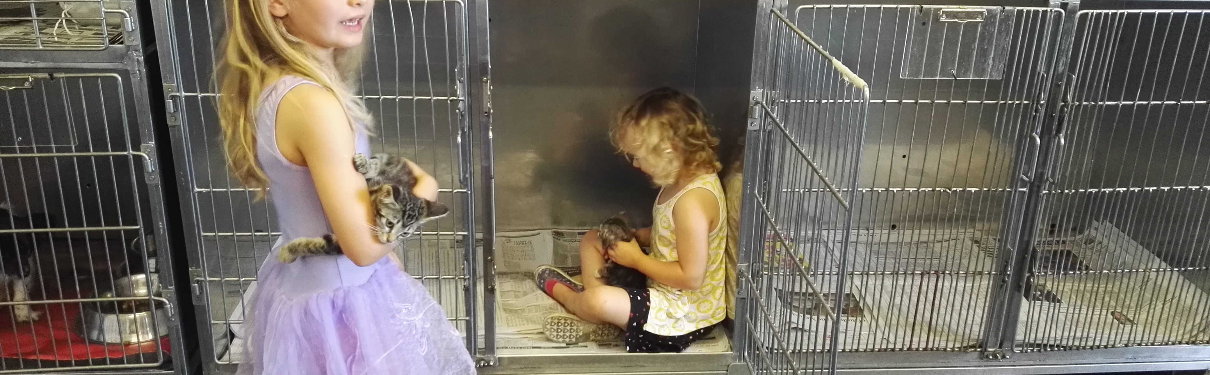 Kids in the clinic cages