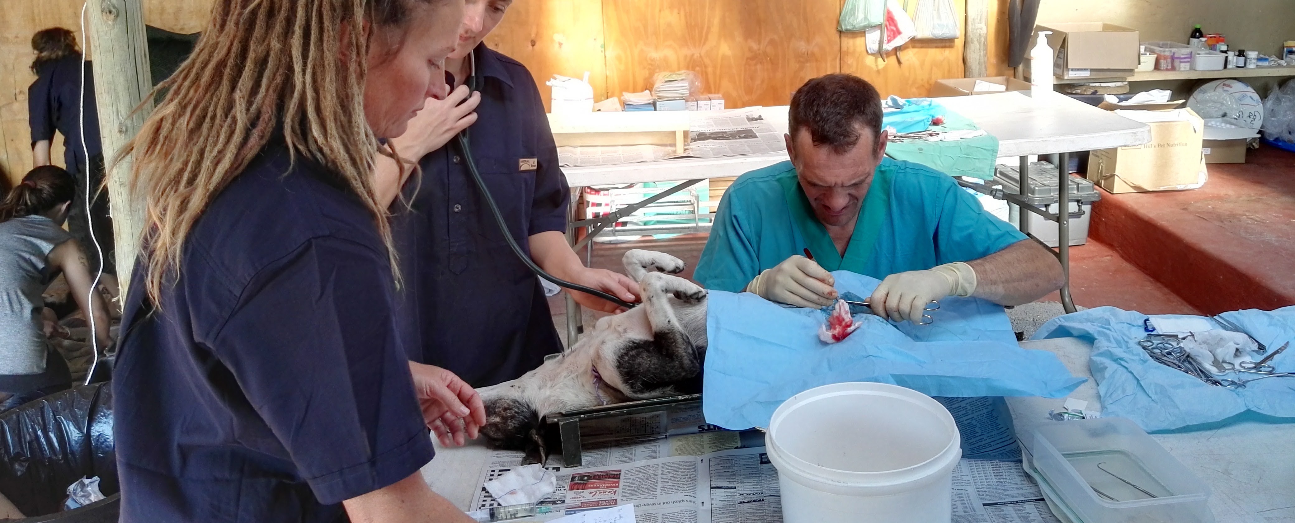 Sterilisation campaign the Transkei, South Africa